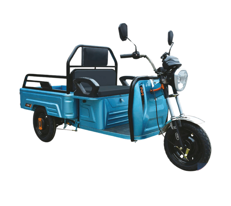 a1fs1f